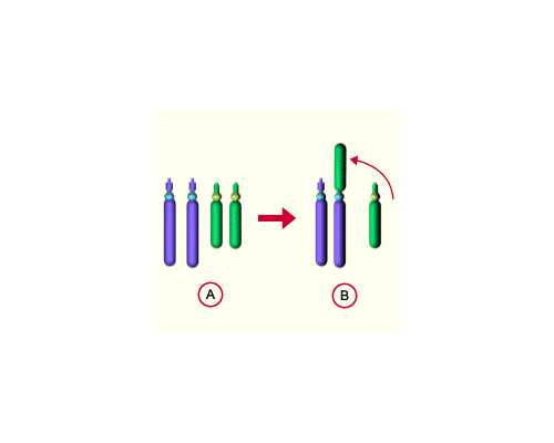 怀孕寄香港验血怎么邮寄去,2022南昌供卵试管包生男孩费用一览，附供卵试管医