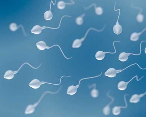 蚌埠哪里找香港验血,试管婴儿单囊双胎-子宫腺肌症的原因主要有哪些呢,如何手