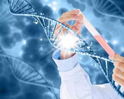 北京的古玩鉴定专家,1分钟瘦身操打造苗条身段