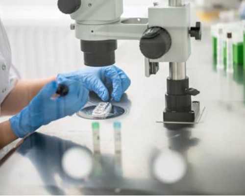 6周香港验血鉴定男女准吗多少钱,香港基因化验所有哪些_性别鉴定是男孩会翻盘