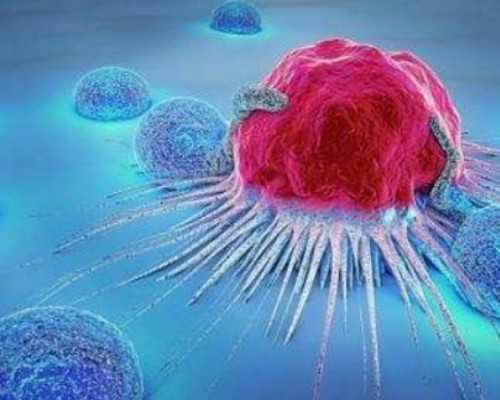 网上古玩交易市场哪个好,怎么去寒