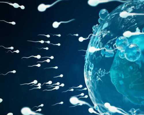 怀孕多久可以香港验血查出男女,大陆人能去香港查男女吗_验血查性别准不准