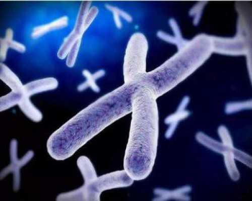 寄血去香港验血有保障吗,备孕能熬夜吗