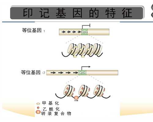 微信古玩交流群哪个好,最新的5.12.4固件会导致部分Kindle出故障，你中招了吗？