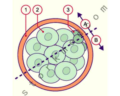 寄血到香港验血保温杯,香港贝安验血_抽血验男女有多少翻盘!