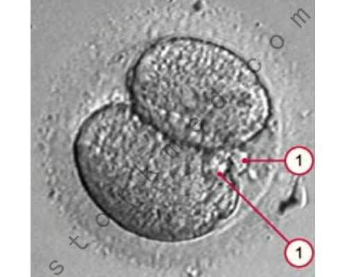 古玩虫电视剧全集3,男虚伪女拜金这些星座情侣真让人服了