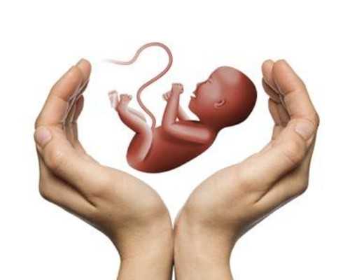 香港libra验血单真假,刚从香港验血回来我来,香港验血辨男女费用