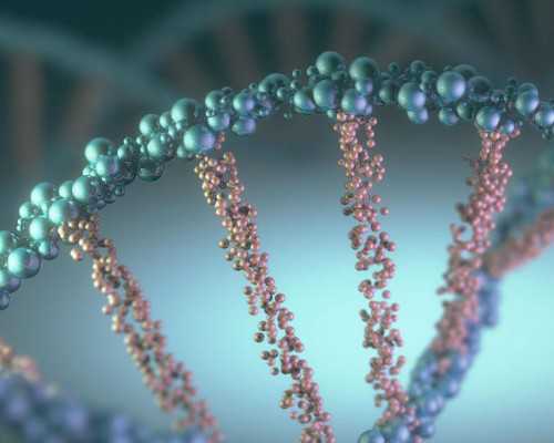 香港验血看孕囊大小吗,我37岁fsh正常amh低至0.41做试管的成功率高吗能尝试自然