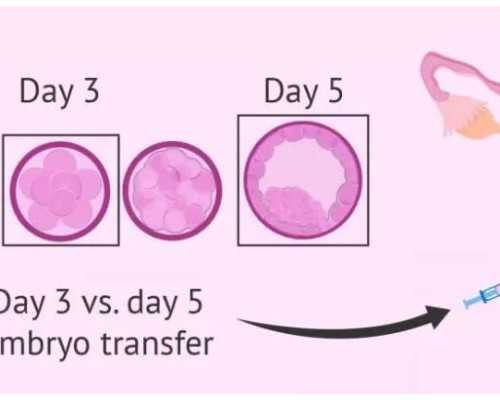 内地如何找香港验血的邮寄中介,高龄备孕、多囊、宫腔粘连，女子经历2次胎停